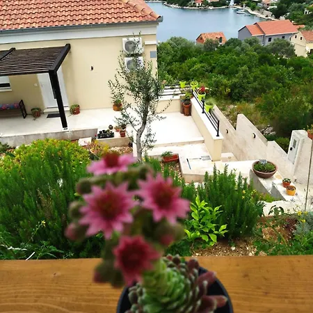 Roza Apartment *