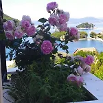 Διαμέρισμα Roza