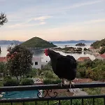 Roza * Prožura
