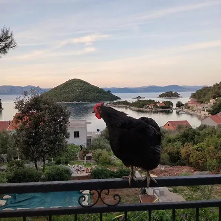 Roza * Prožura