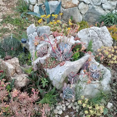 アパート Roza Prožura