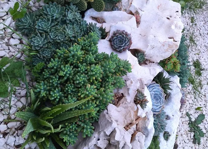 アパート Roza Prožura