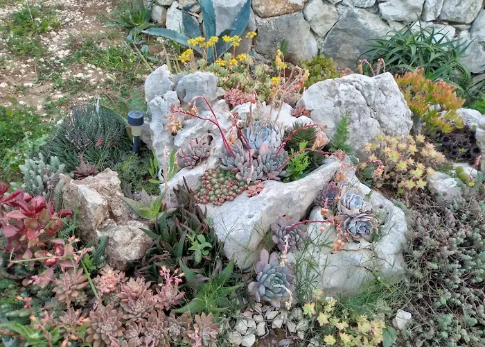 アパート Roza Prožura